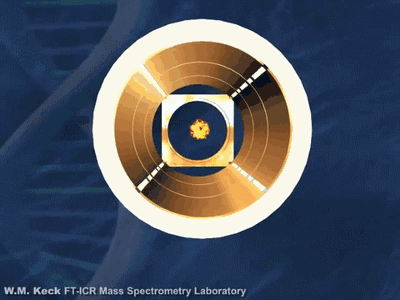 4.gif