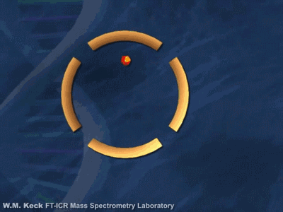 5.gif